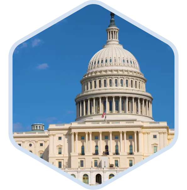 Government
